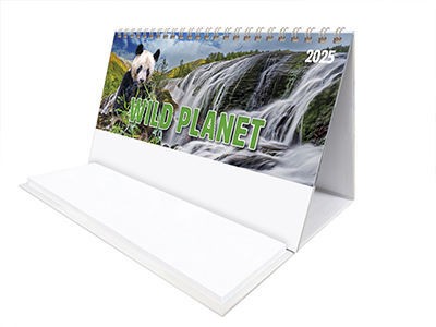 Wild Planet Task Station Desk Calendar