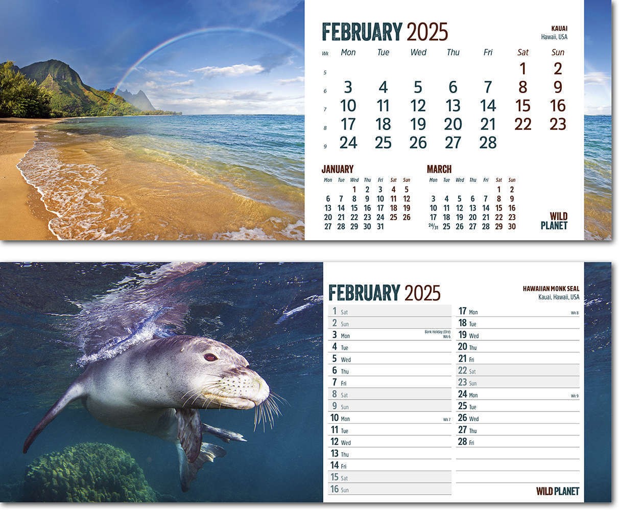 Wild Planet Task Station Desk Calendar