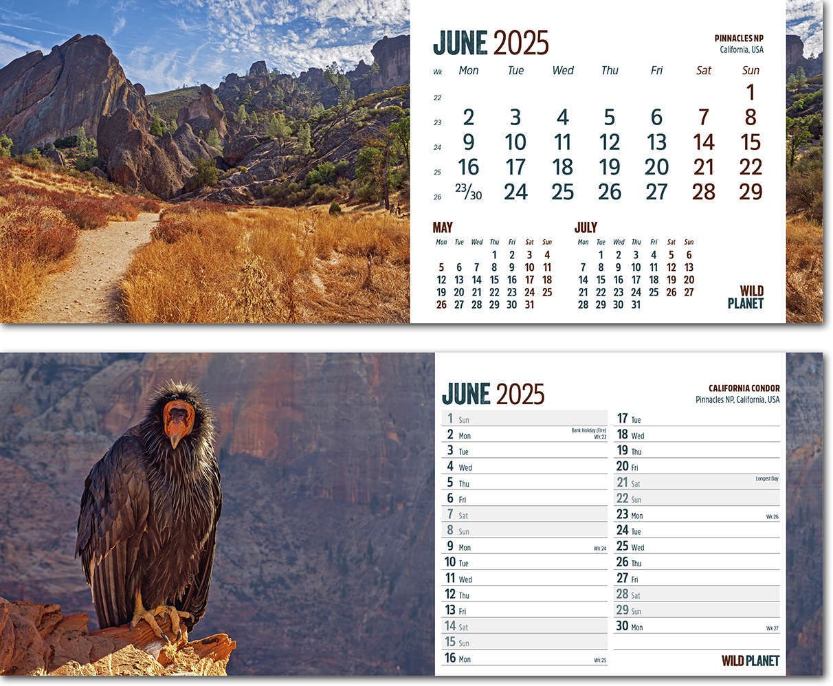 Wild Planet Task Station Desk Calendar