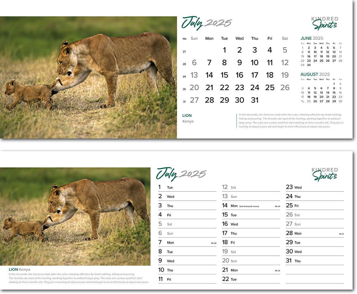 Kindred Spirits Note Station Desk Calendar