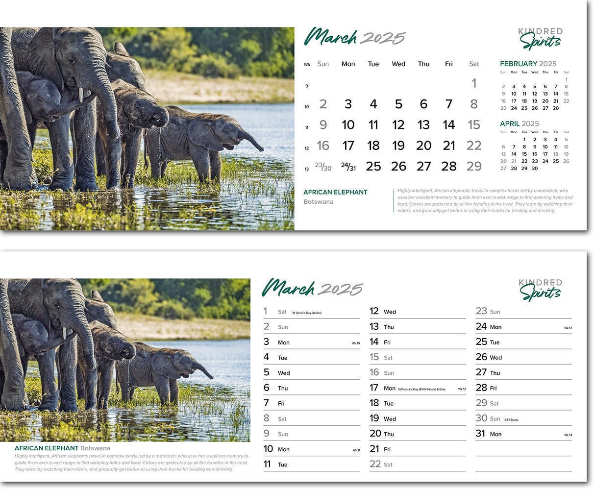 Kindred Spirits Note Station Desk Calendar