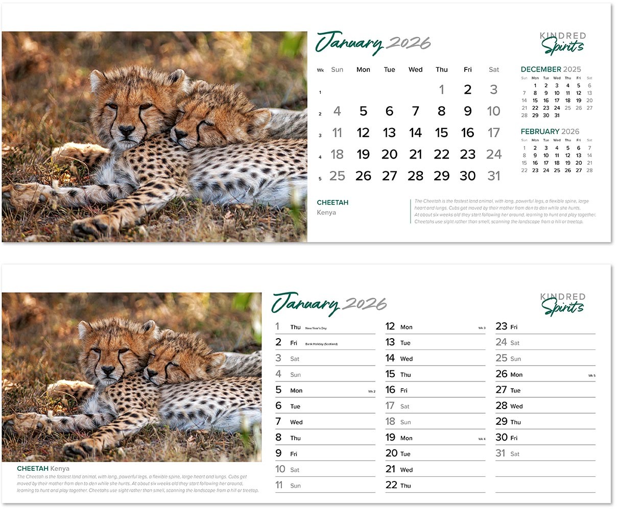 Kindred Spirits Desk Calendar