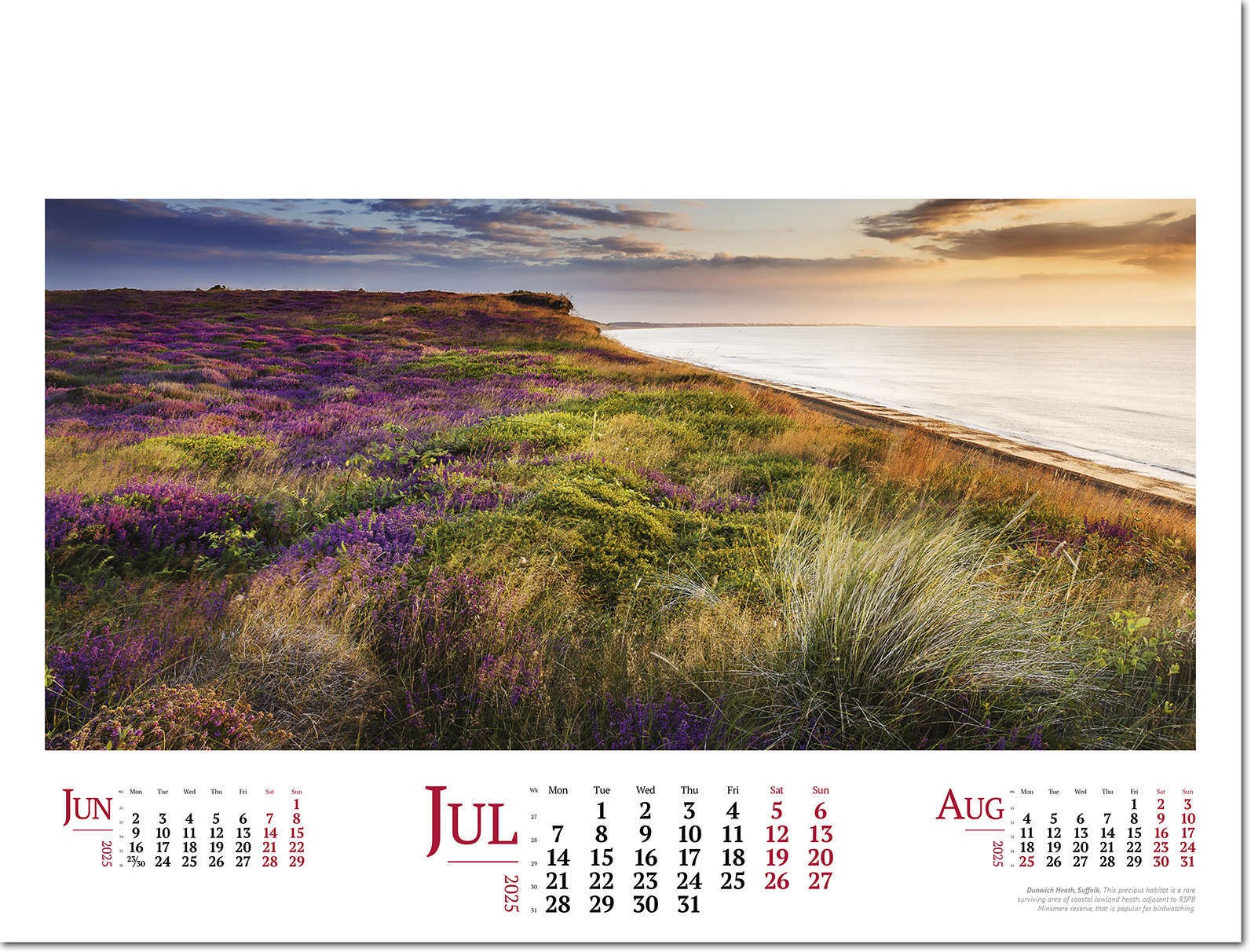 Wild Britain Wall Calendar