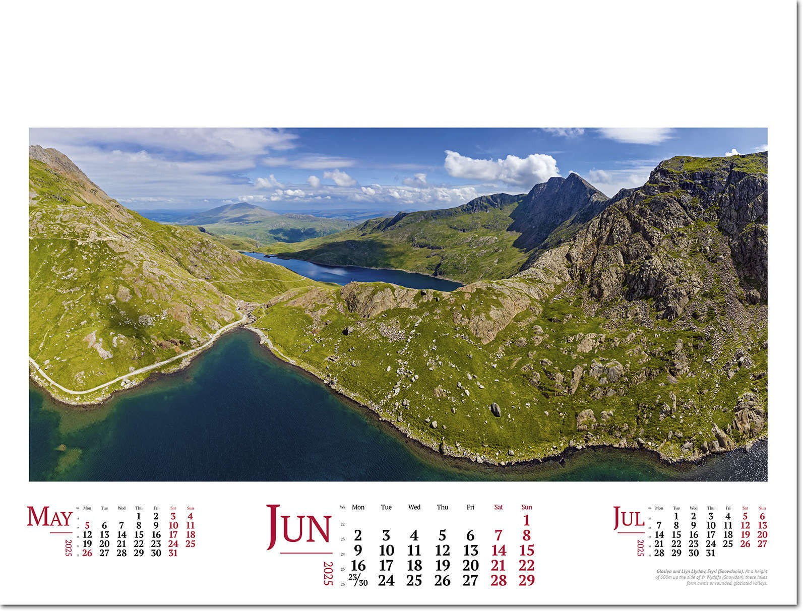 Wild Britain Wall Calendar