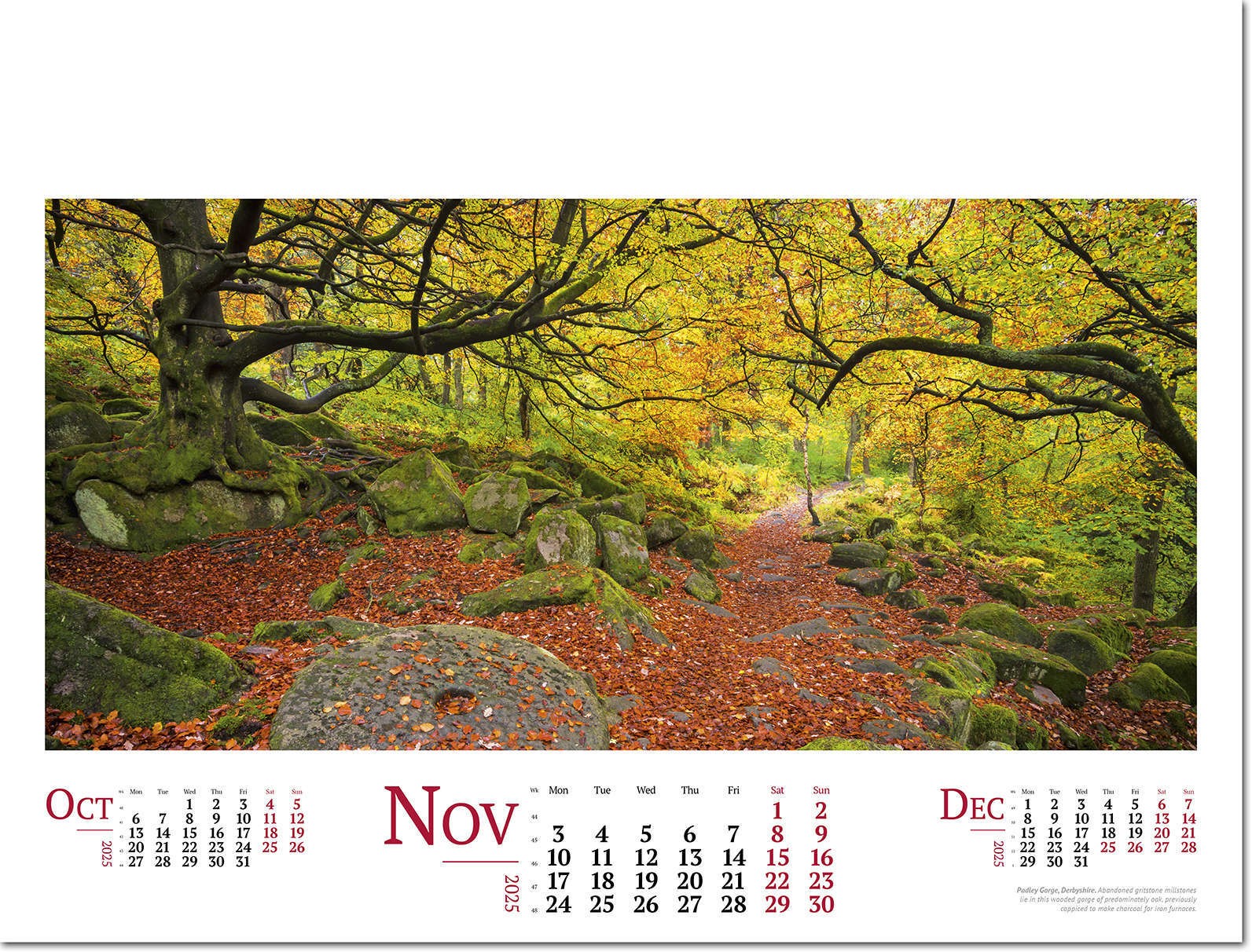 Wild Britain Wall Calendar