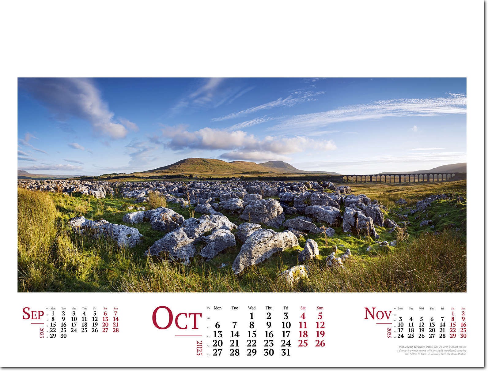 Wild Britain Wall Calendar