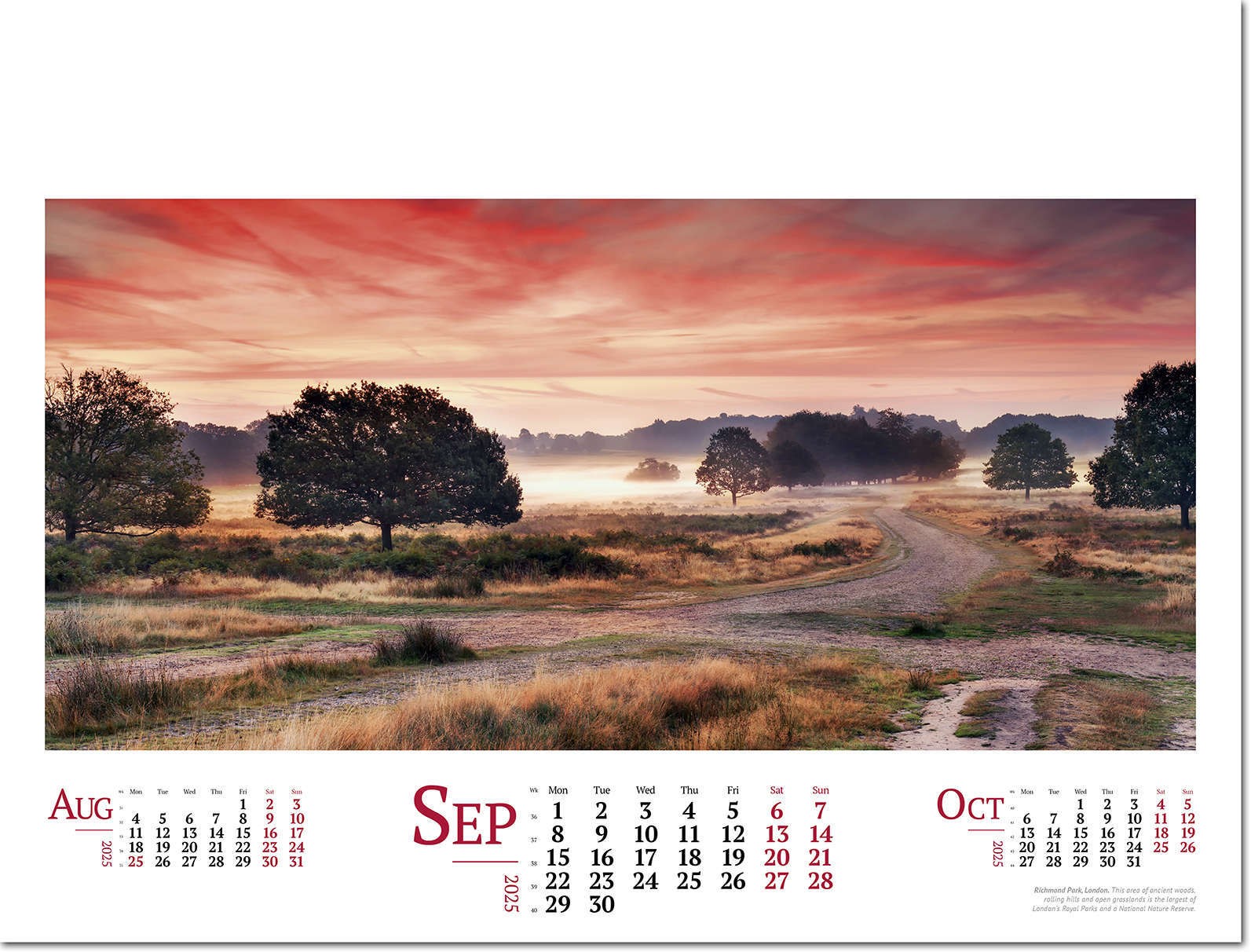 Wild Britain Wall Calendar