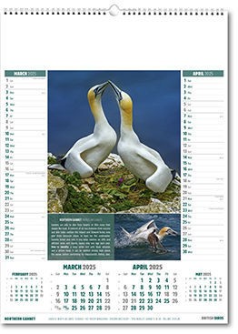 British Birds Calendar