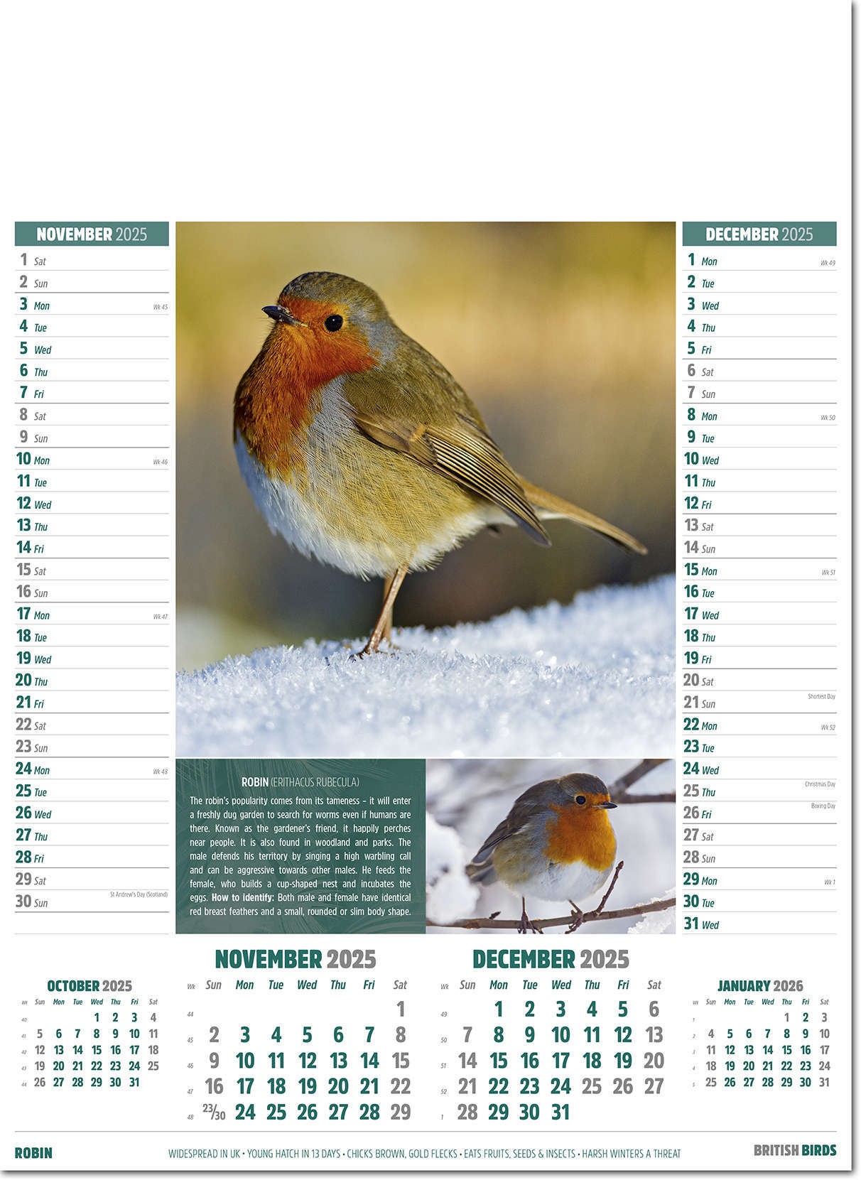 British Birds Calendar