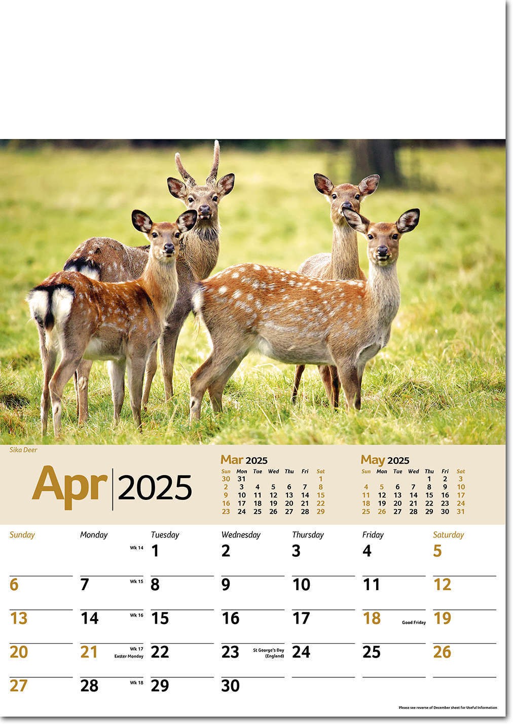 Wildlife Memo Calendar