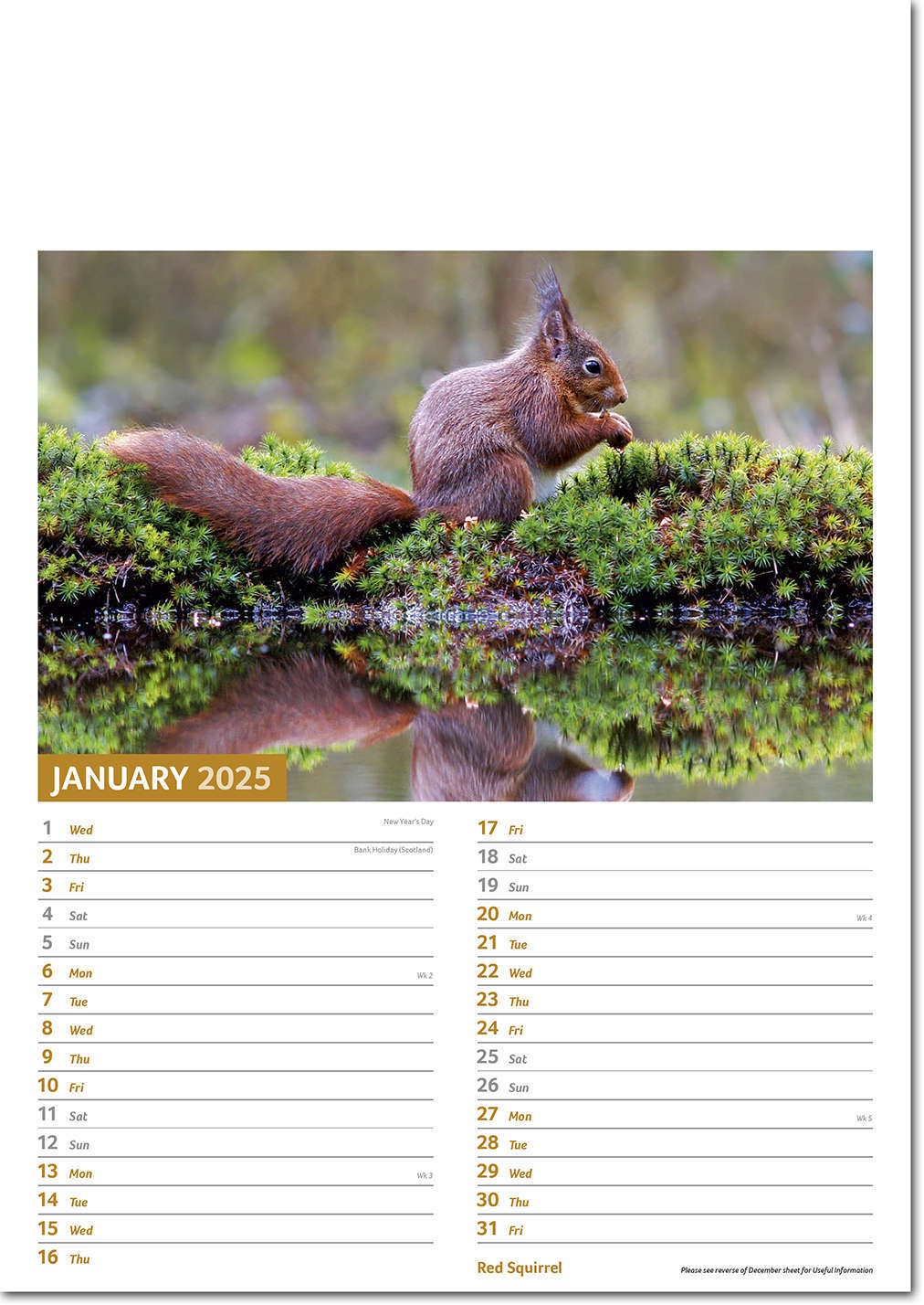 Wildlife Memo Calendar