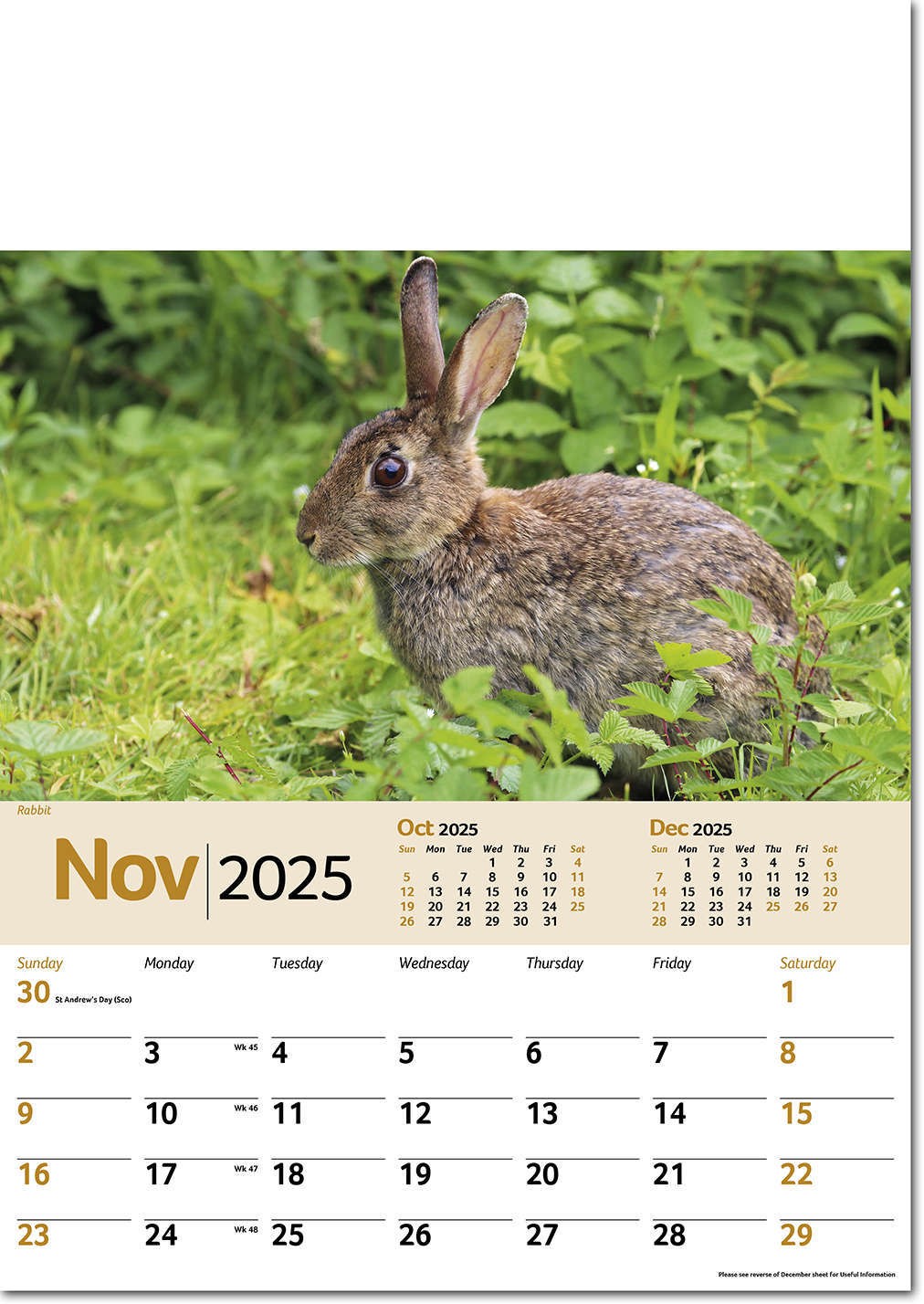 Wildlife Memo Calendar