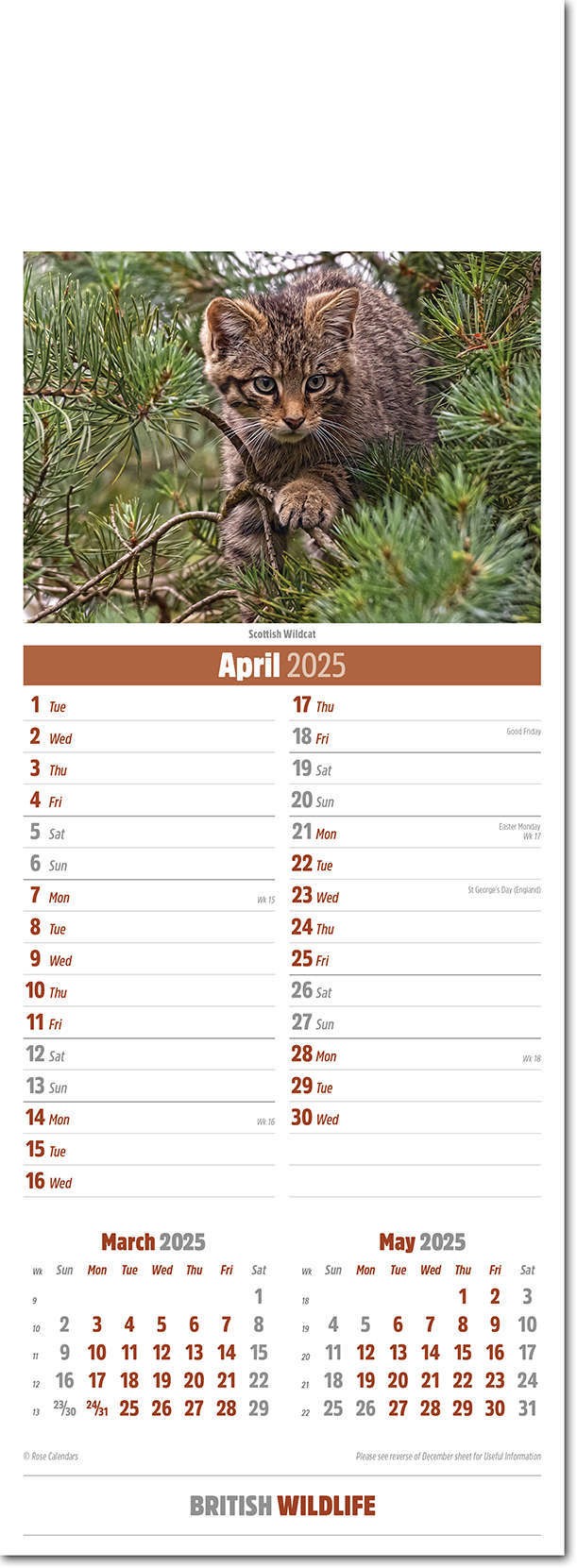 Slimline British Wildlife Calendar