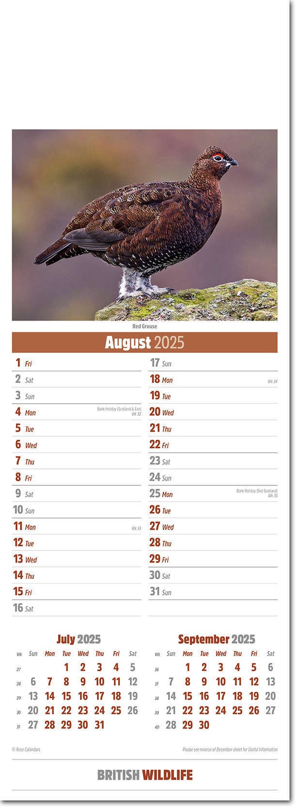 Slimline British Wildlife Calendar