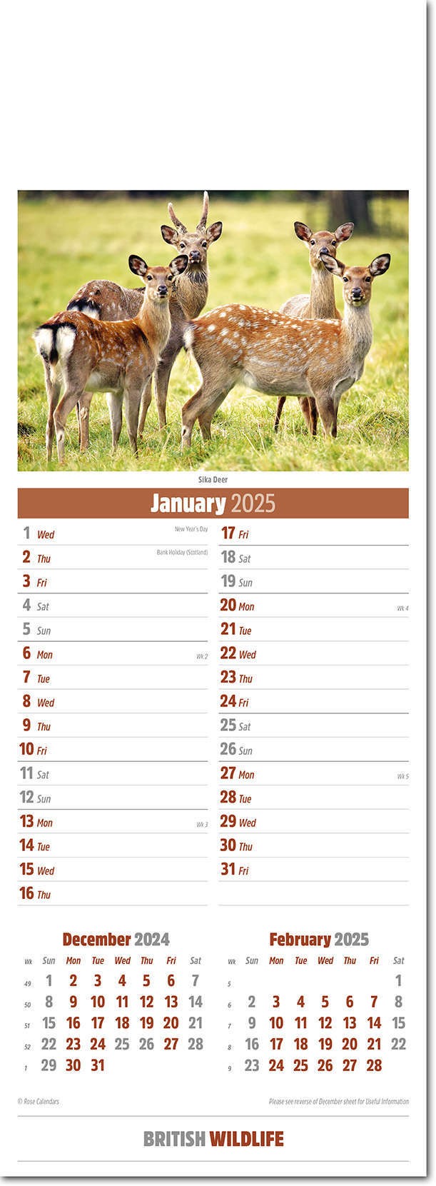 Slimline British Wildlife Calendar