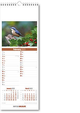 Slimline British Wildlife Calendar