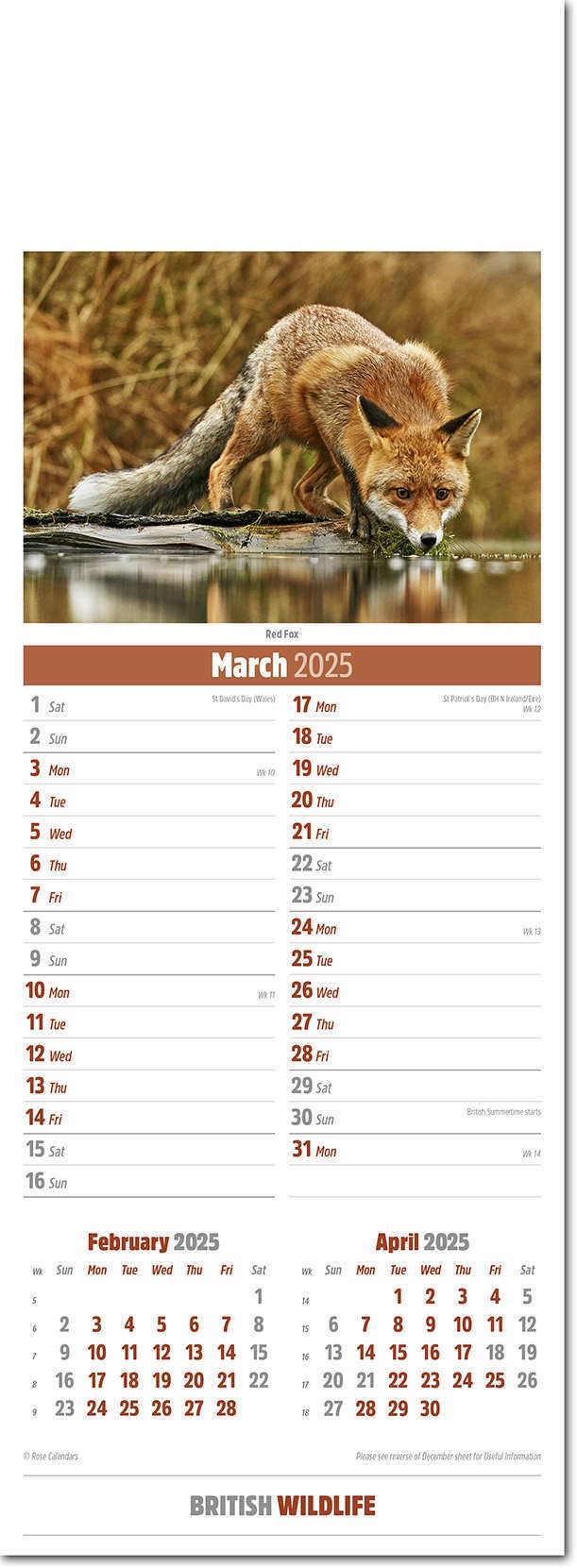 Slimline British Wildlife Calendar