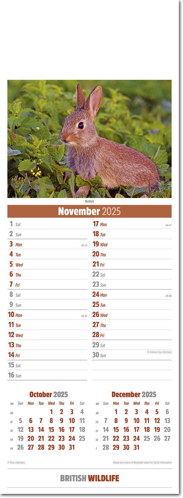 Slimline British Wildlife Calendar